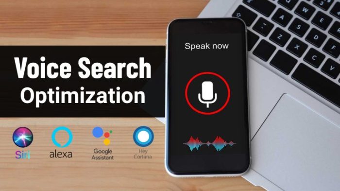 Voice search optimization